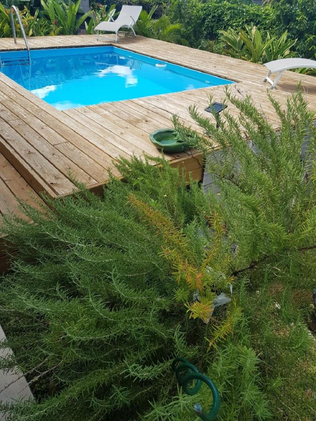 Studio Avec Piscine, A 3 Minutes A Pied Des Plages Sainte-Anne  Bagian luar foto